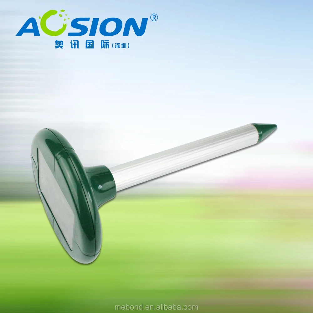 Шэньчжэнь солнечный мол и суслик штроборезы