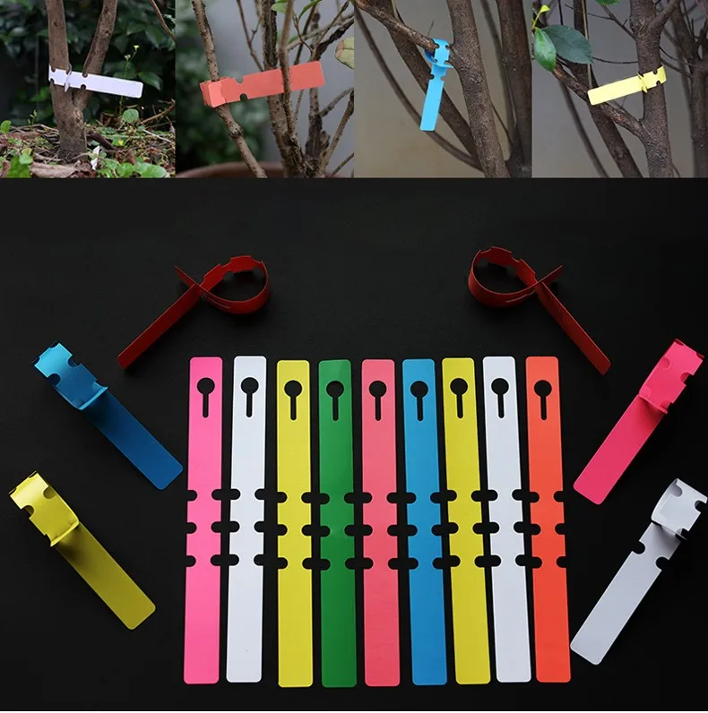 Taizhou manufacture hoop plastic plant labels wholesale