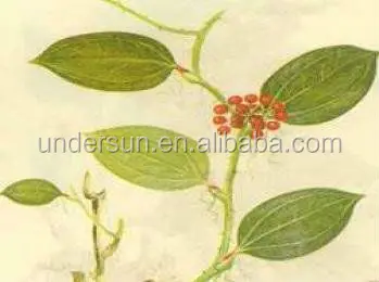  Заводская поставка органический экстракт корня Sarsaparilla порошок