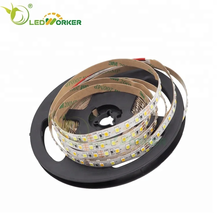 Best Price 3 Volt Led Strip Lighting 240 Leds/m 2 Row 60 Inch SMD2835 RGBW Led Stripe Lights