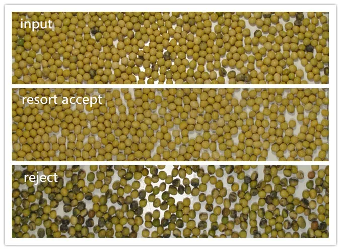 M128 Newest blueberries sorter rice mill color sorter germany almond color sorter