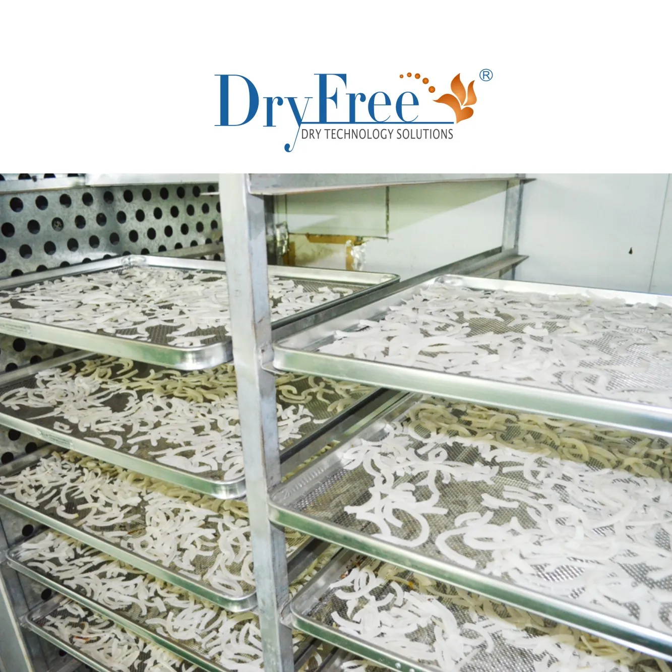 High Efficiency Electric Herb Heat Pump Dryer For best food dehydrator dried vegetable production line solar dry machine