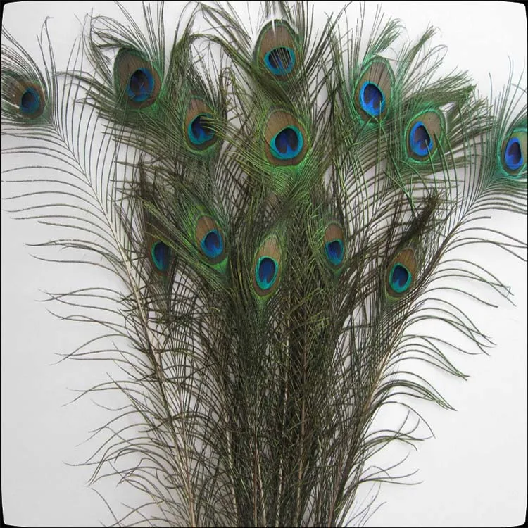 
Real Natural Wholesale Cheap Peacock Feather for sale 