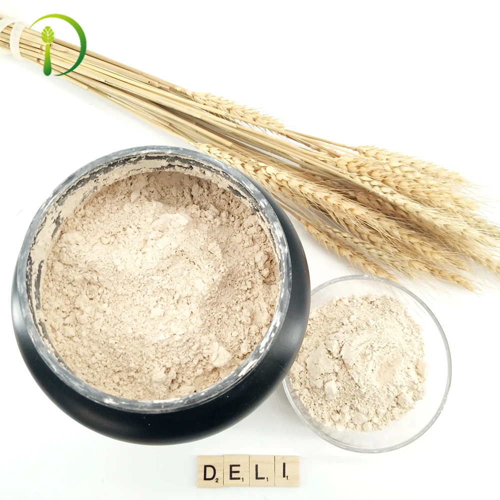 
Healthy Food Brown Rice Enrich Protein Pure Protein Powder 