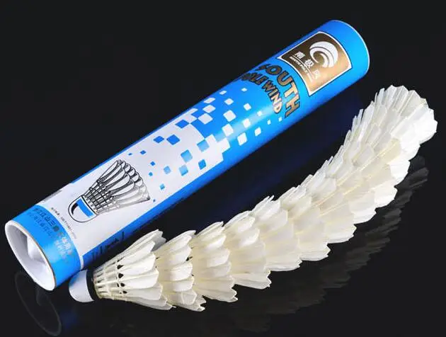 
Gym Training Badminton 