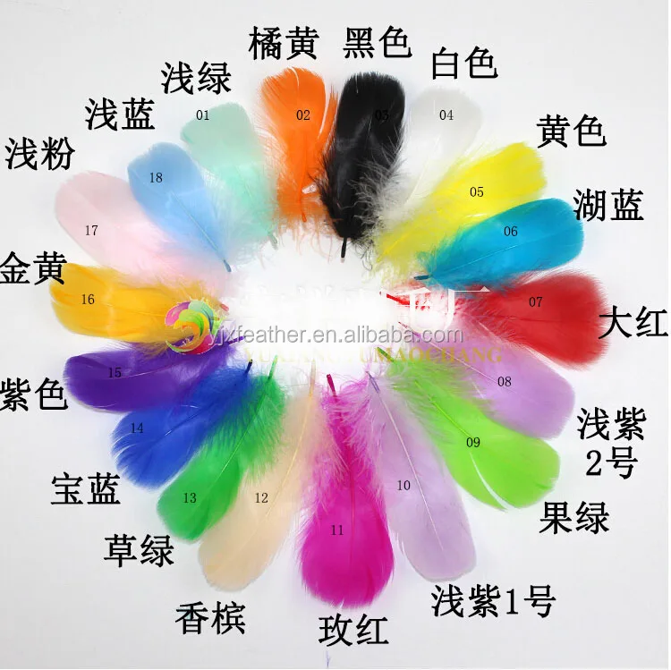 duck eiderdown duck feather natural goose feather free shipping for sale