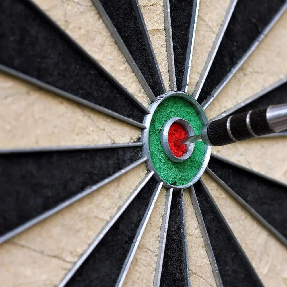 SUNSKI Чемпионат Dartboard с щетиной