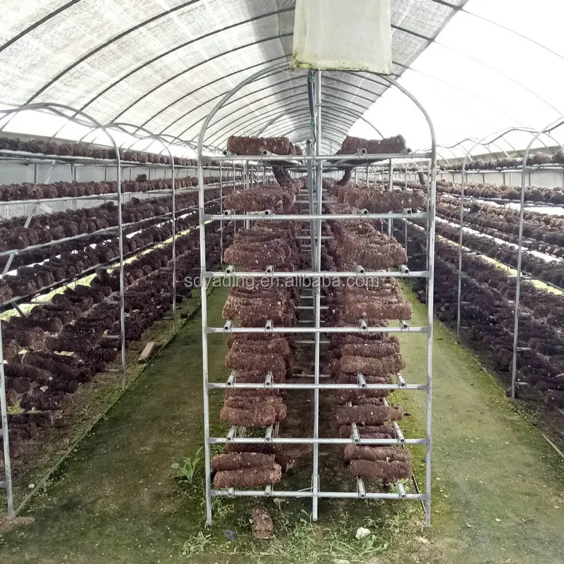9m Single Tunnel 200 Micron Plastic Film Mushroom Greenhouse