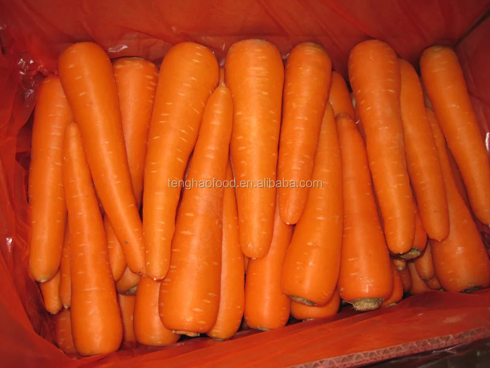 
fresh carrot 
