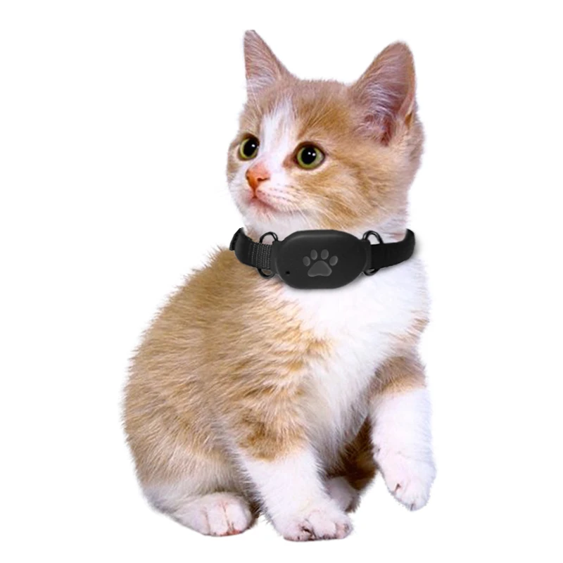 Protect Real Time Historical Route Playback Tracker Pet GPS Tracking Locator Collar Anti Lost for dog pet