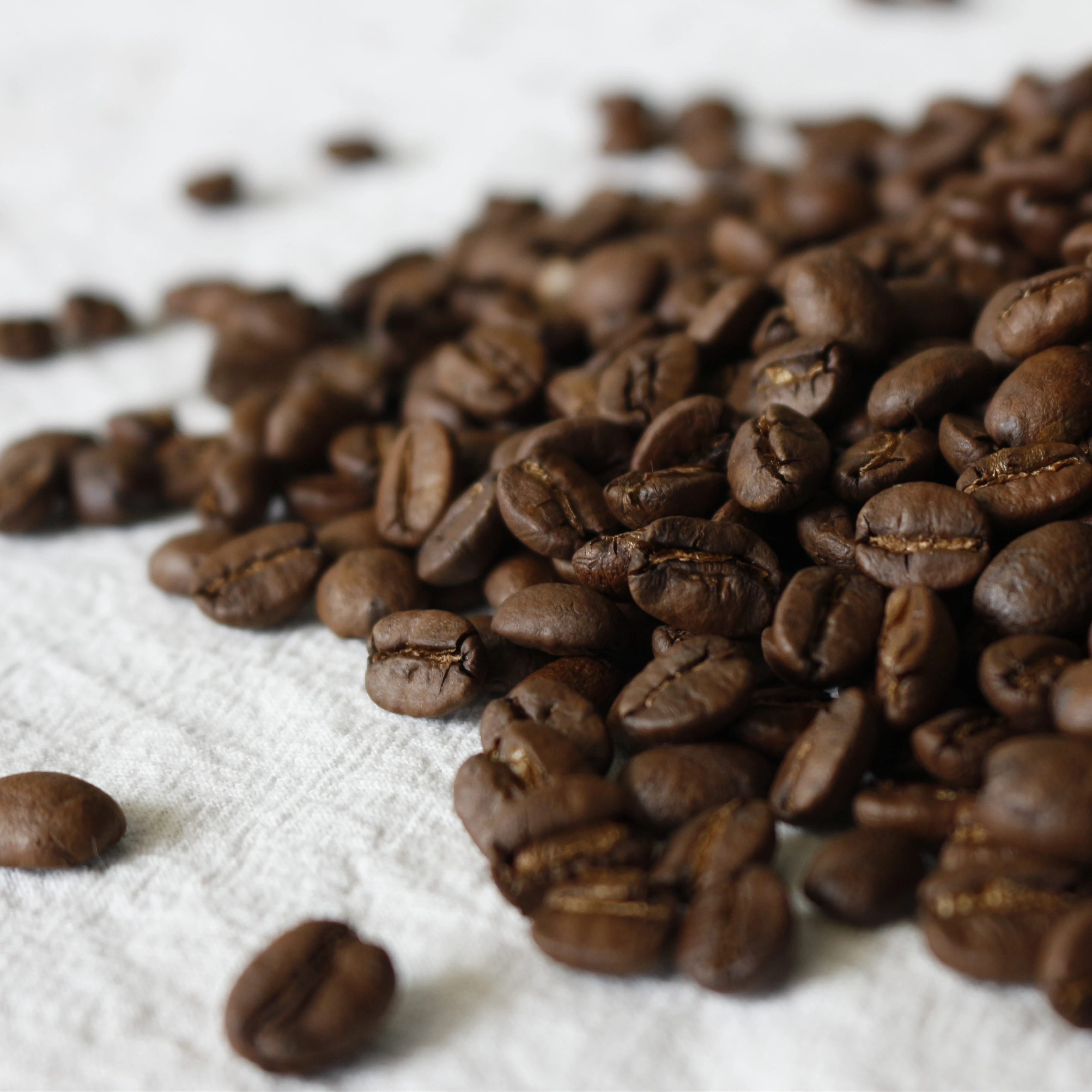 Fresh 100% Wholesale Robusta Roasted Coffee Beans