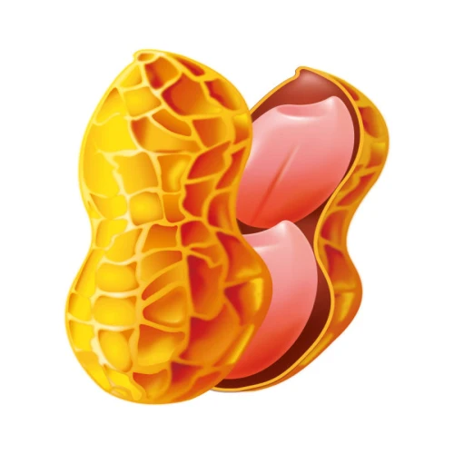 High Yield Jumbo Peanut Seeds For Growing