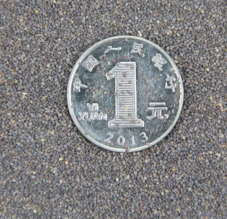 Natural new mixed Red Poppy Flowers Papaver rhoeas seeds for sowing in garden or park