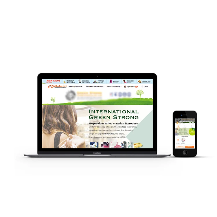 
Alibaba Mini Site Web Page Designing 