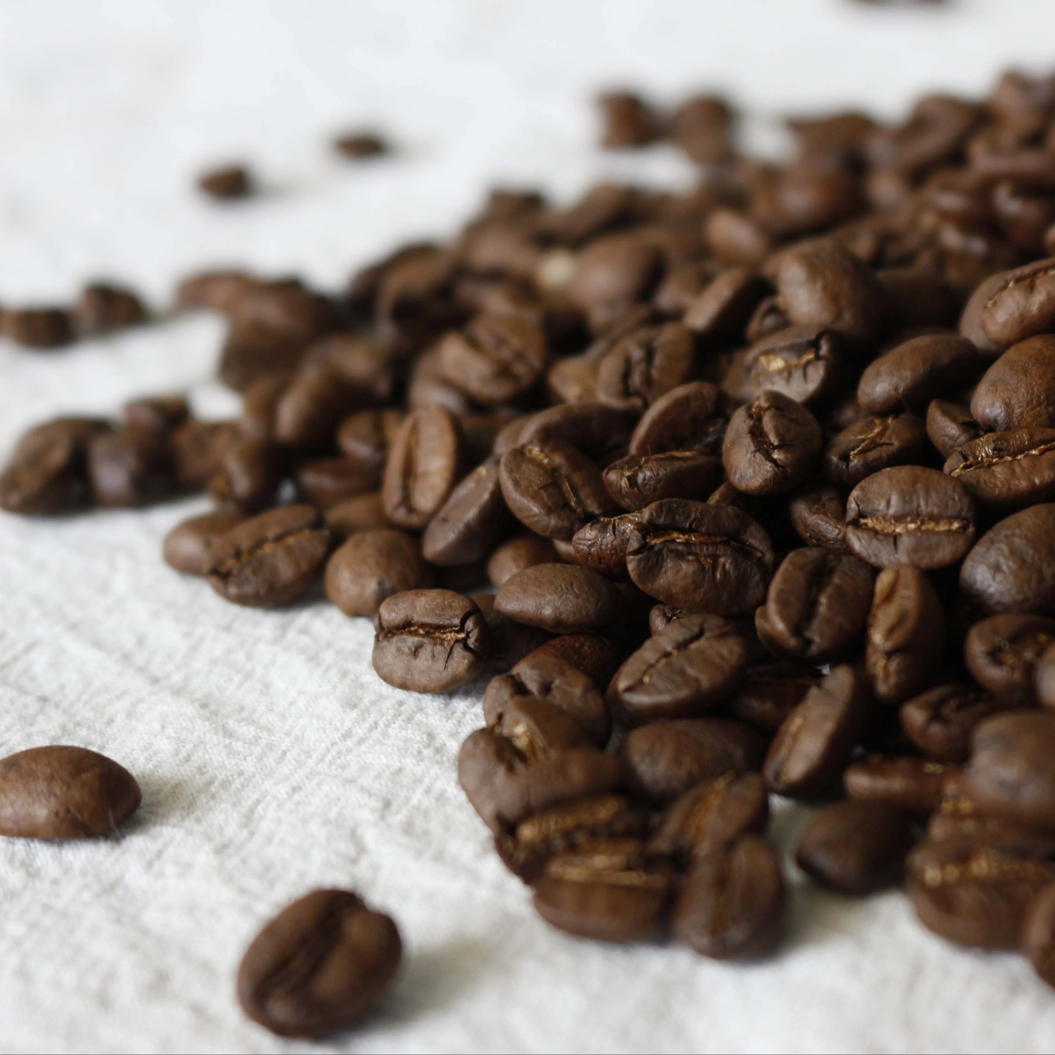 
Top Quality Grade AA Roasted Coffee Beans Sale cheap now 