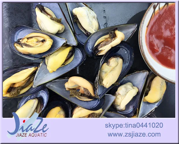 
Frozen cooked mussel meatIQF or Half Shell seafood 