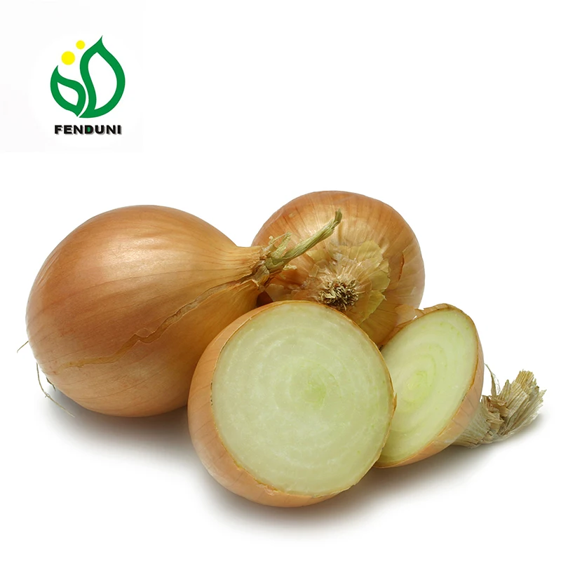 
Fresh Red Onion Sale from China 
