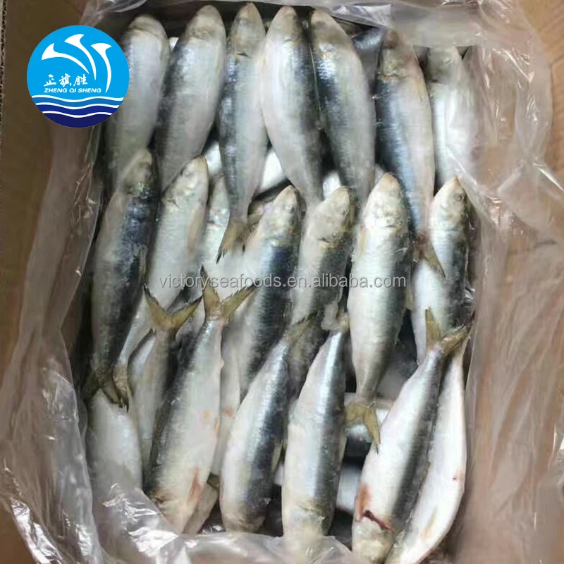 Frozen Sardine Fish Meal Dried Sardine Factory