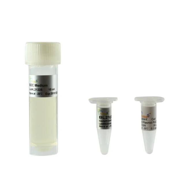 BL21(DE3) химически совместимая клетка