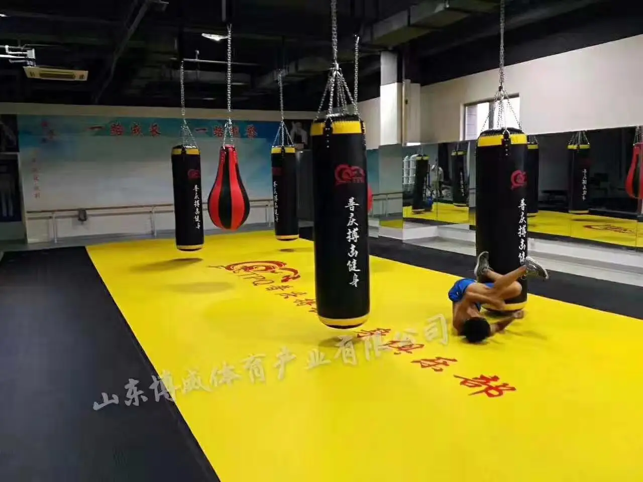 Boxing Training Punching Bag/Uppercut Angled Heavy Bag