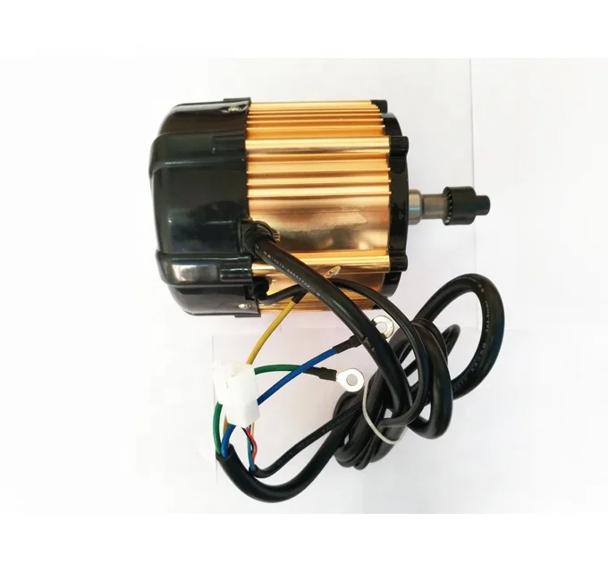 High torque motor 60V 1000W motor Electric tricycle BLDC motor for India market