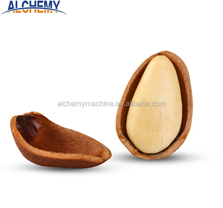 Pine nuts indian name