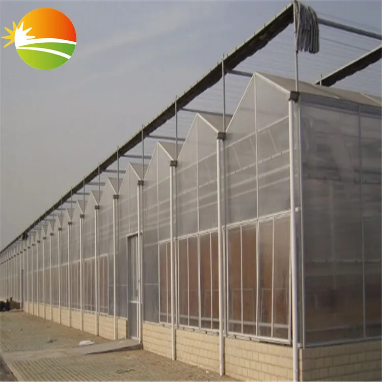 UV Polycarbonate PC sheet Hot-Galvanizing pipe Multi-Span Greenhouse