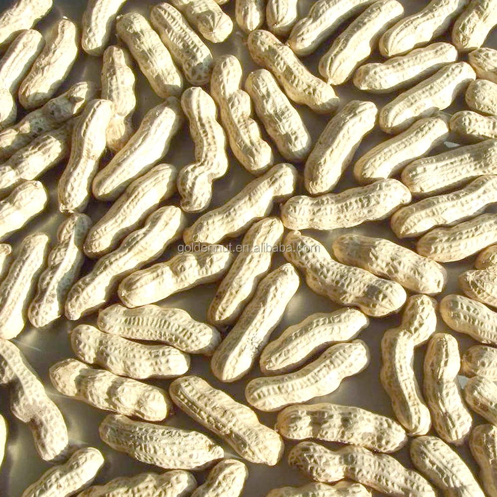 red skin peanut