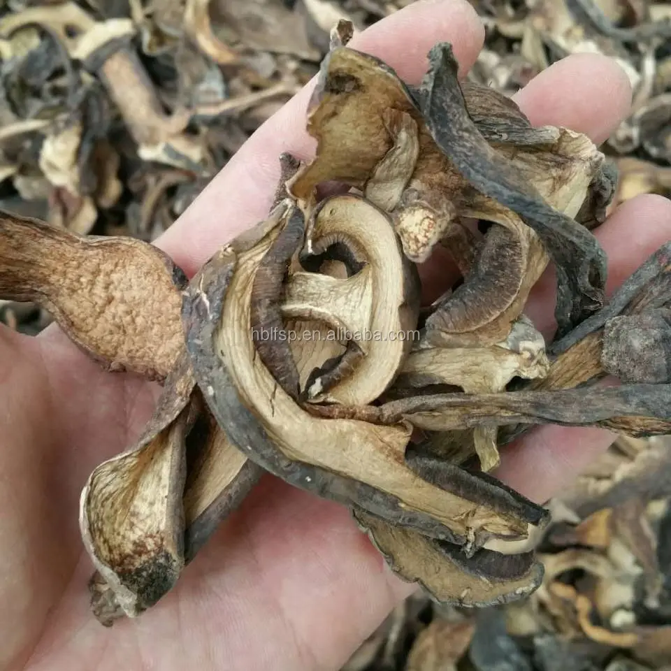 
Dried Porcini Mushrooms Slice 