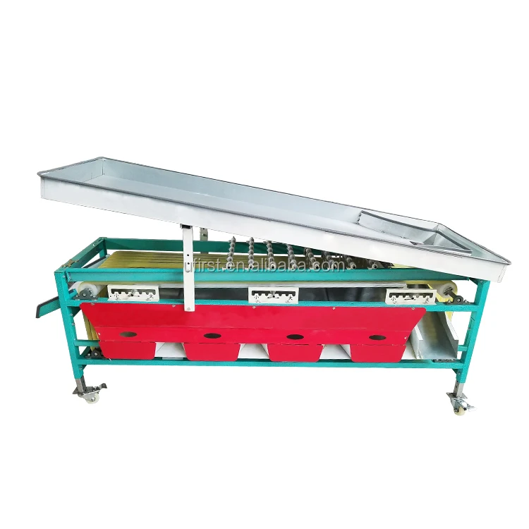 
Large capacity stainless steel blueberry cherry citrus sorter processing machine 