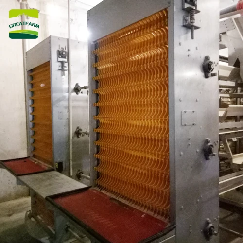 Poultry egg collection system Egg Collecting System egg collecting automation poultry farming equipment