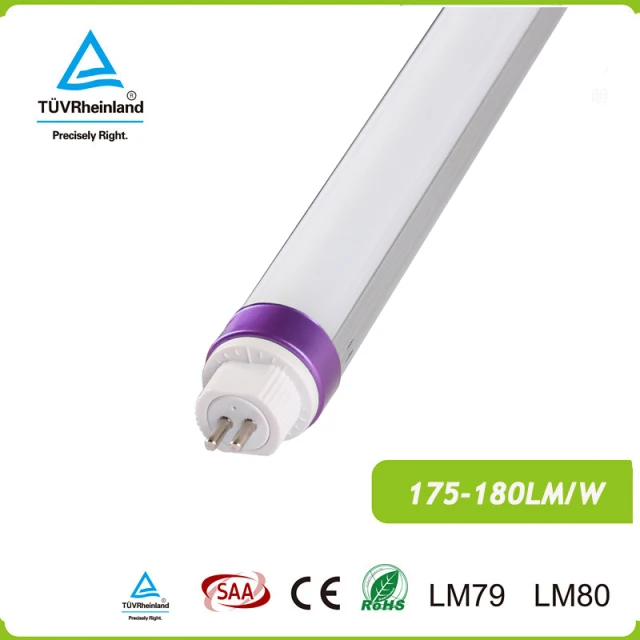 Ultra bright 175LM/W frosted cover direct wire type b t5 led tube g5 TUV SAA CE DLC approved with 5 years warranty