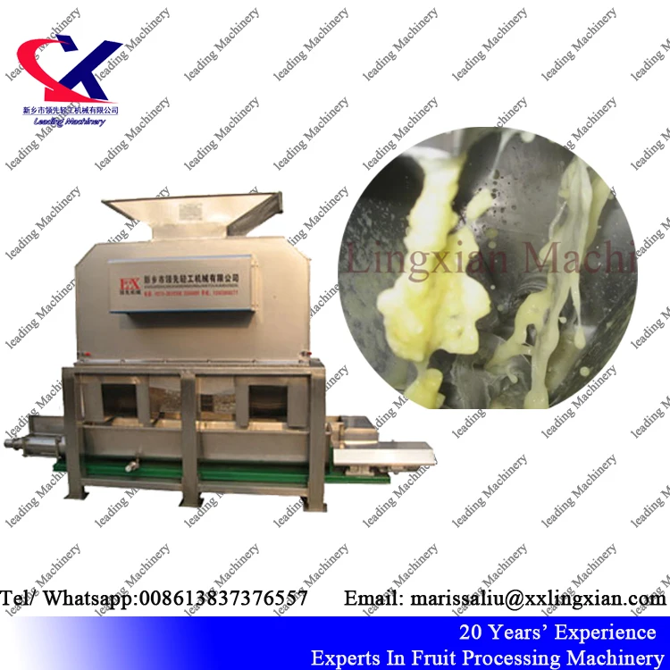 Производитель Китай питания От 2 до 3 лет/ч машины для ананас обработки