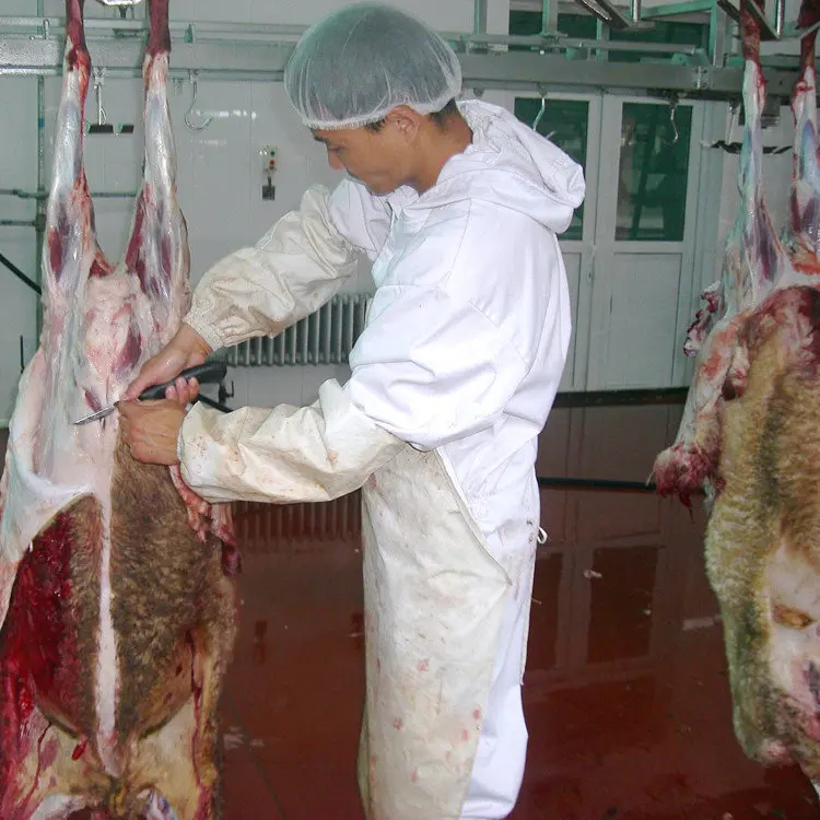 Slaughter Line Beat Price Halal Stainless Sheep Hide Puller