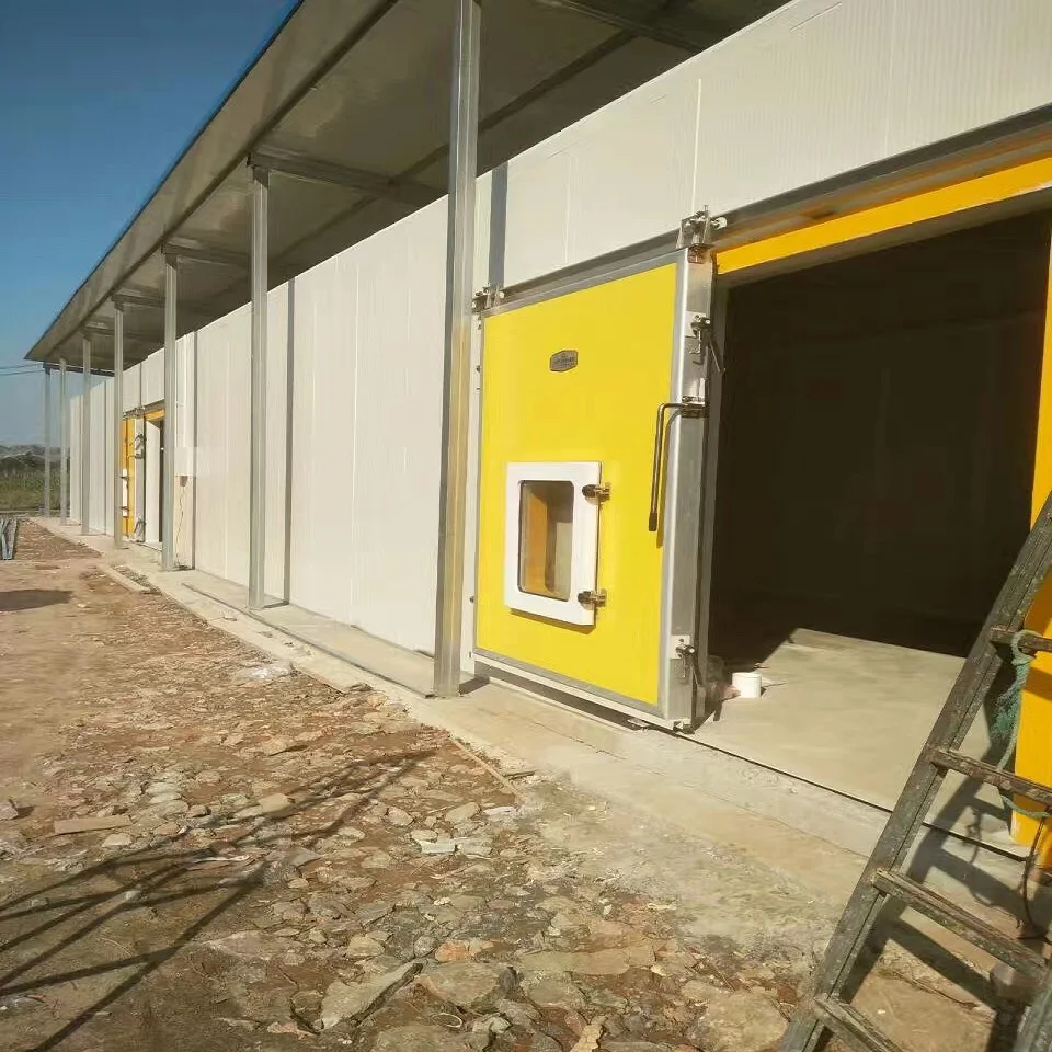 cold room with condengsing unit for grape /vegetable/Mango/lemon/fruit