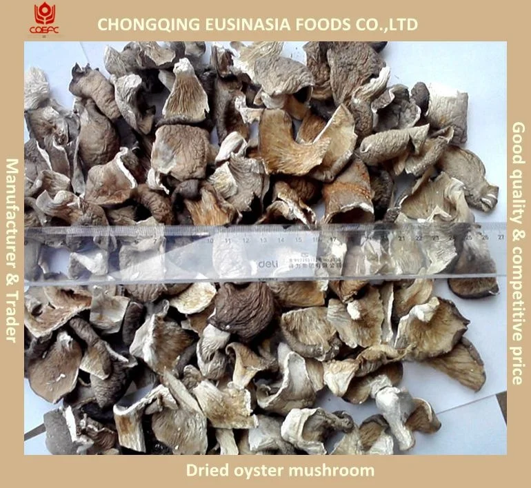 Cultivated High Quality AD dried Pleurotus Ostreatus Oyster mushrooms for Sale