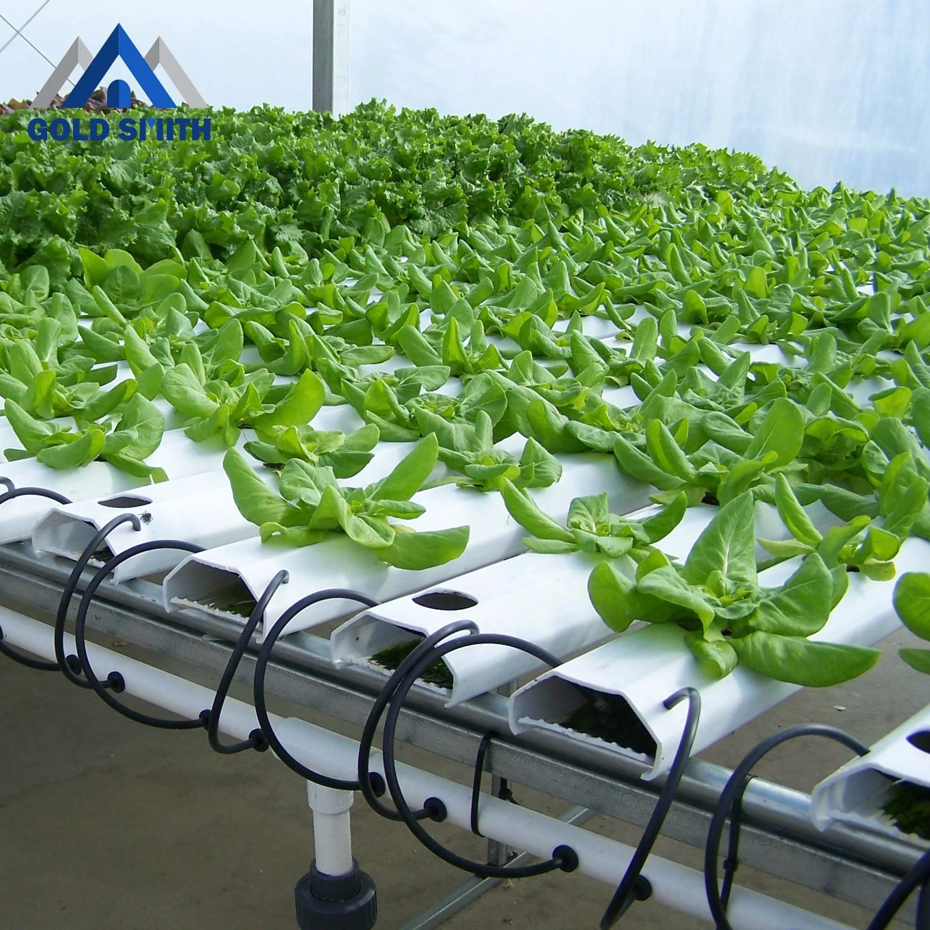 
Film Covering Low Cost Single Span Hydroponic Greenhouse for Sale 