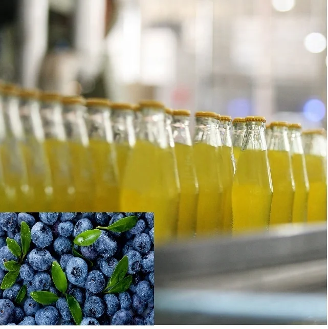 Grape Fruit Juice Production Line Machinery/Coconut Milk Processing Machines