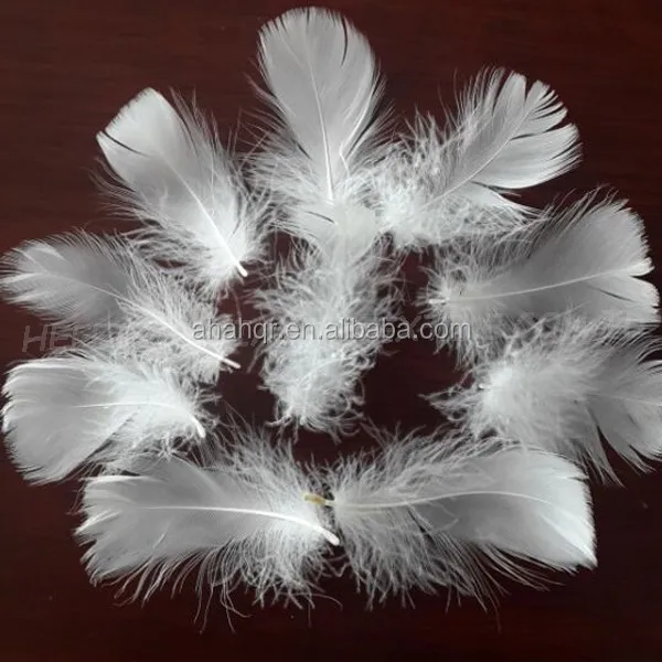 
washed white duck down loose feathers 