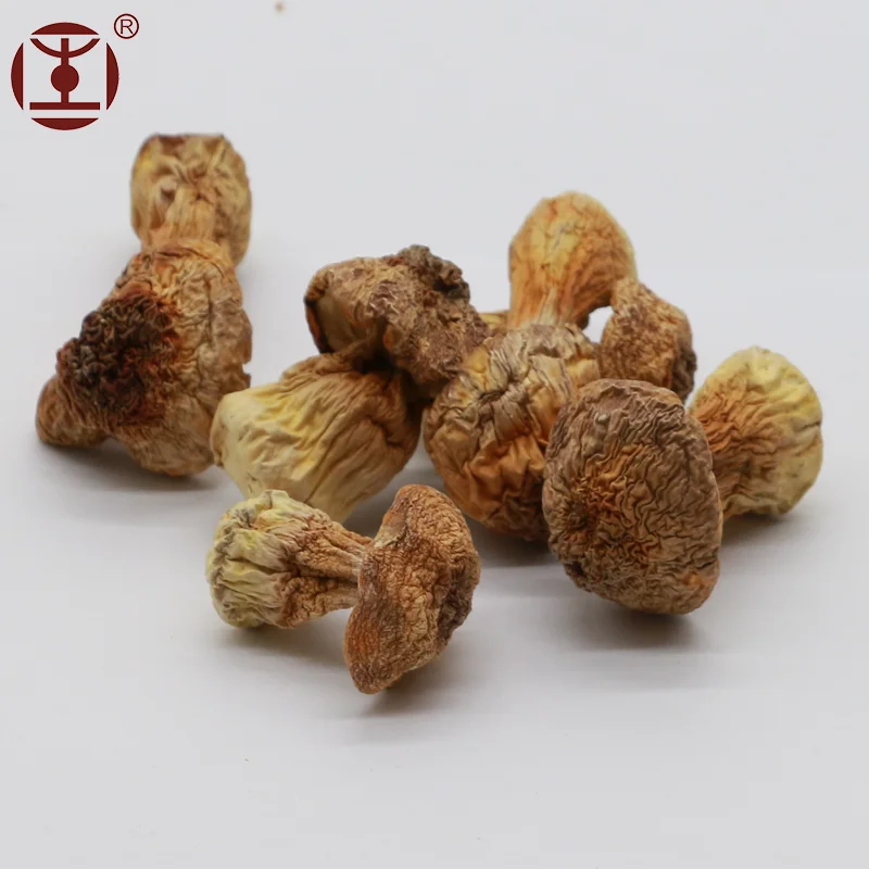 Экстракт бразильских грибов (полисахарид) ;ABM гриб/Agaricus blazei прошел HACCP/GMP/ISO9001/QS