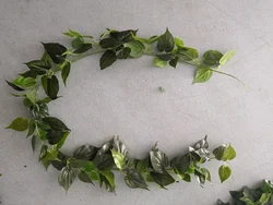 FC7312 Artificial real touch vine  Green rattan cane  for wedding decoration