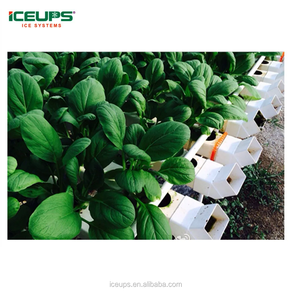 Fruit & vegetable Vacuum Cooler fruit vegetable processing machines