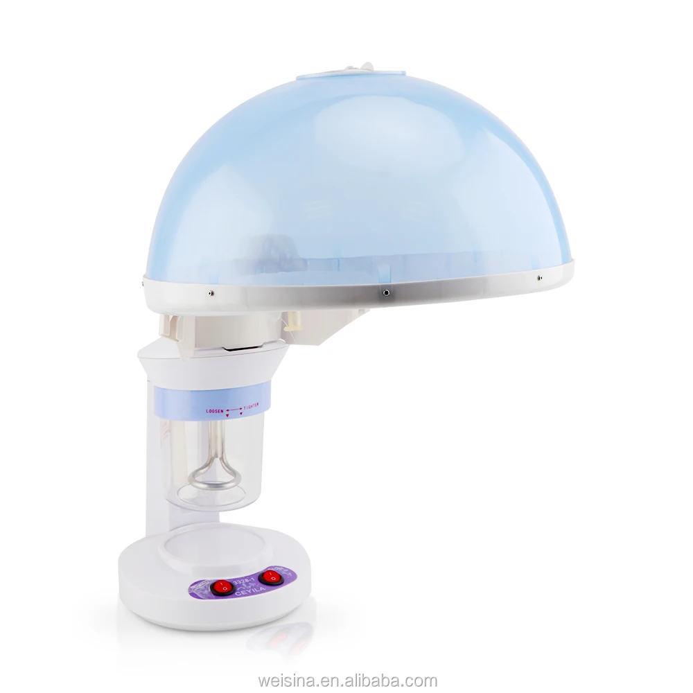 
Multi-Functional Spa Electric Steamer Facial And Head Steamer 