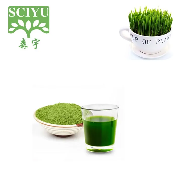 Заводская цена, высокое качество, порошок зеленой ячменной травы