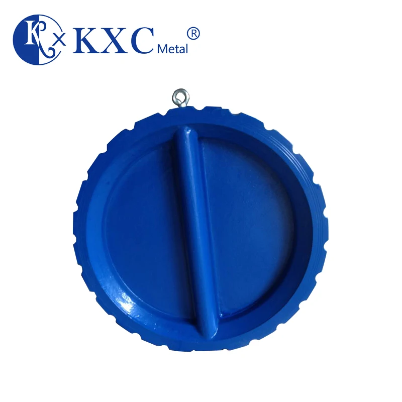 spring loaded check valve basement floor drain check valve