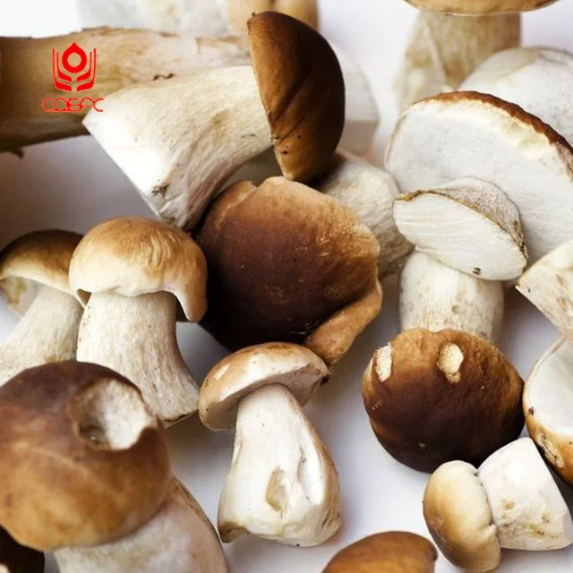
frozen porcini mushrooms,fresh porcini recipe 