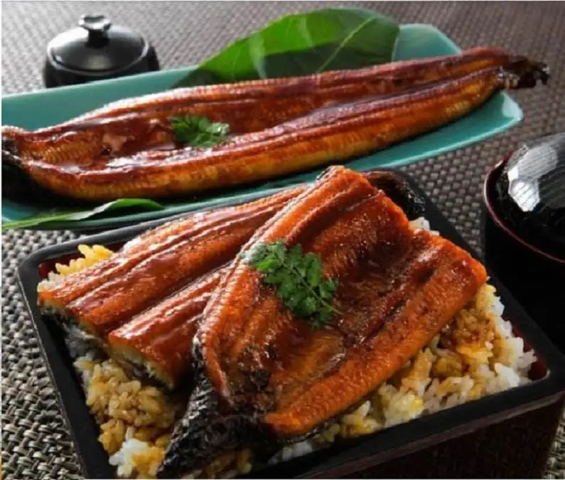
Frozen Boiled Eel Conger eel unagi fillet eel fish kabayaki sushi with HighQuality 