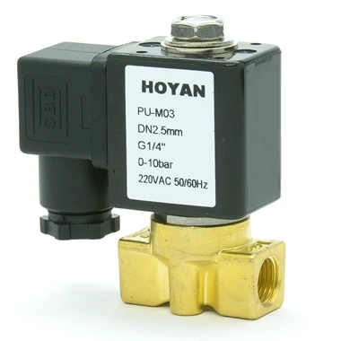 Hoyan PU-M03 латунь низкого давления Электромагнитный клапан DC12-24V/AC24V-220V