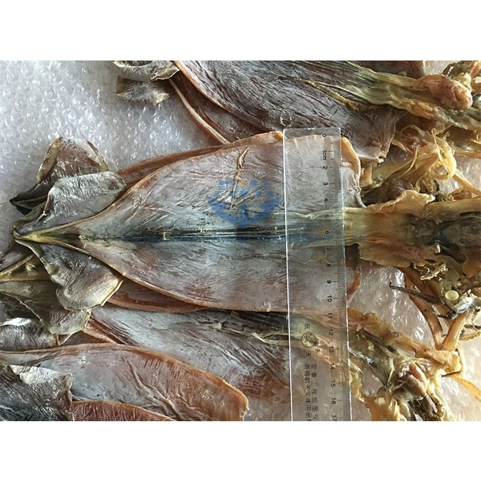 
Moisture Dried todarodes squid 
