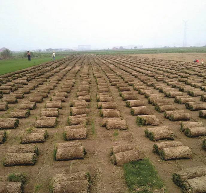 Машина для резки sod